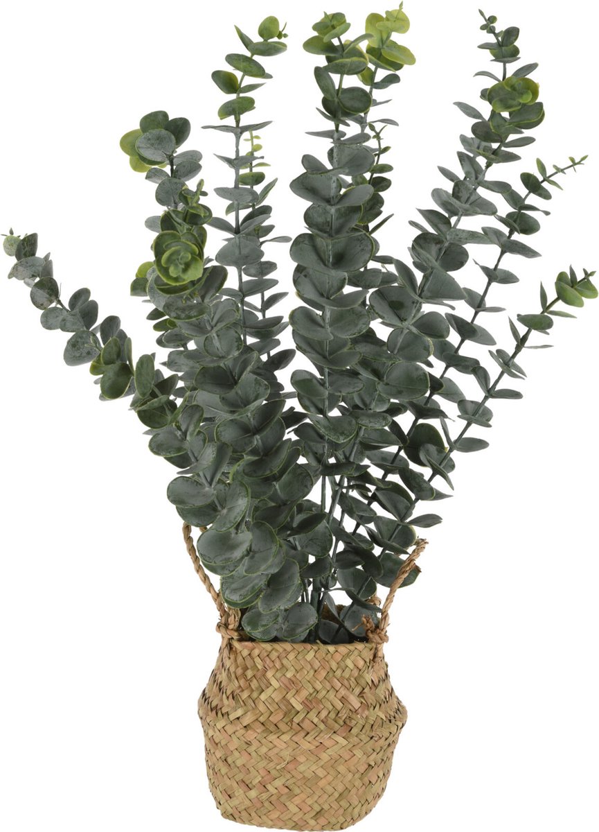 Home & Styling Kunst eucalyptus plant - in rieten mand - 50 cm - voor binnen - kunstplant Groen