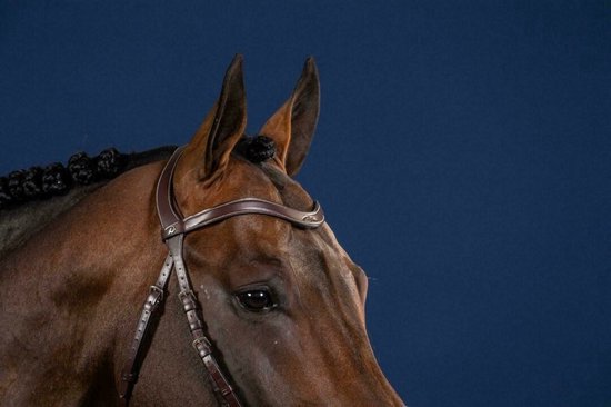 Frontal Hunter plat en forme de V en cuir