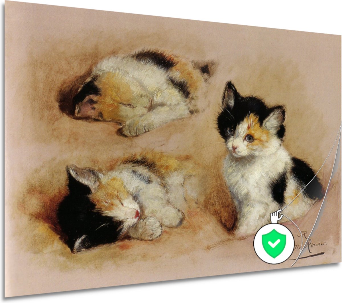 Studies van ontwakend katje - Henriëtte Ronner poster - Katten wanddecoratie - Poster Oude