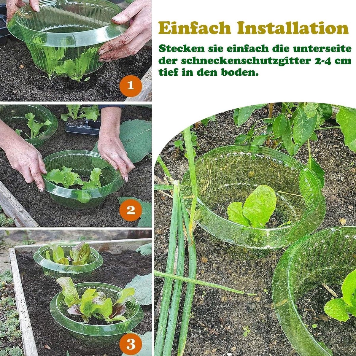 Sunshine smile 20 stuks slakkenkraag, slakkenkraag van plastic, slakkenbescherming, slakkenring, slakkenring, tuin, effectieve slakkenbescherming voor je slaplanten, hangende tomaten