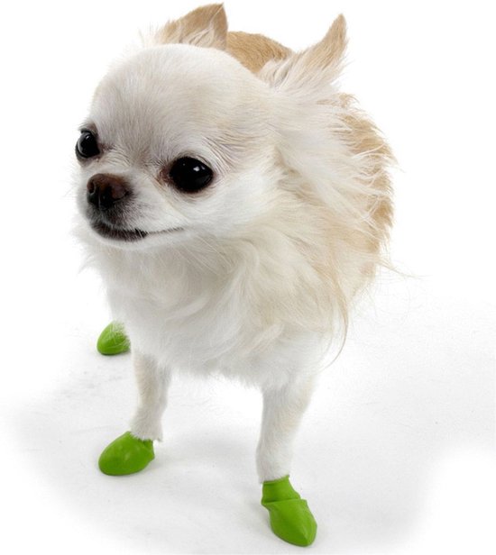 Chaussure pour chien deals