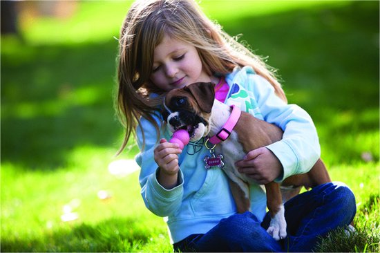 Meisje omhelst een Boxer puppy, die een roze KONG speeltje vasthoudt.