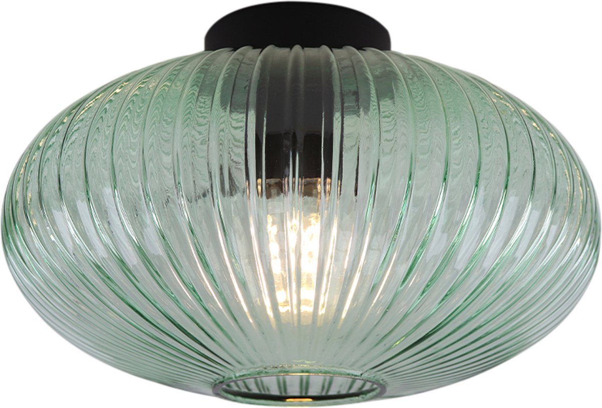 Olucia - CHARLOIS - Plafondlamp - Groen / Zwart - Vorm: Ovaal