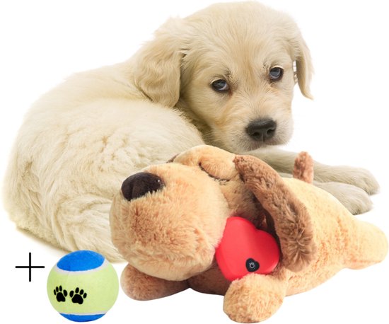 Beste puppy speelgoed 2023: Onze Top 10 beste puppy speelgoed