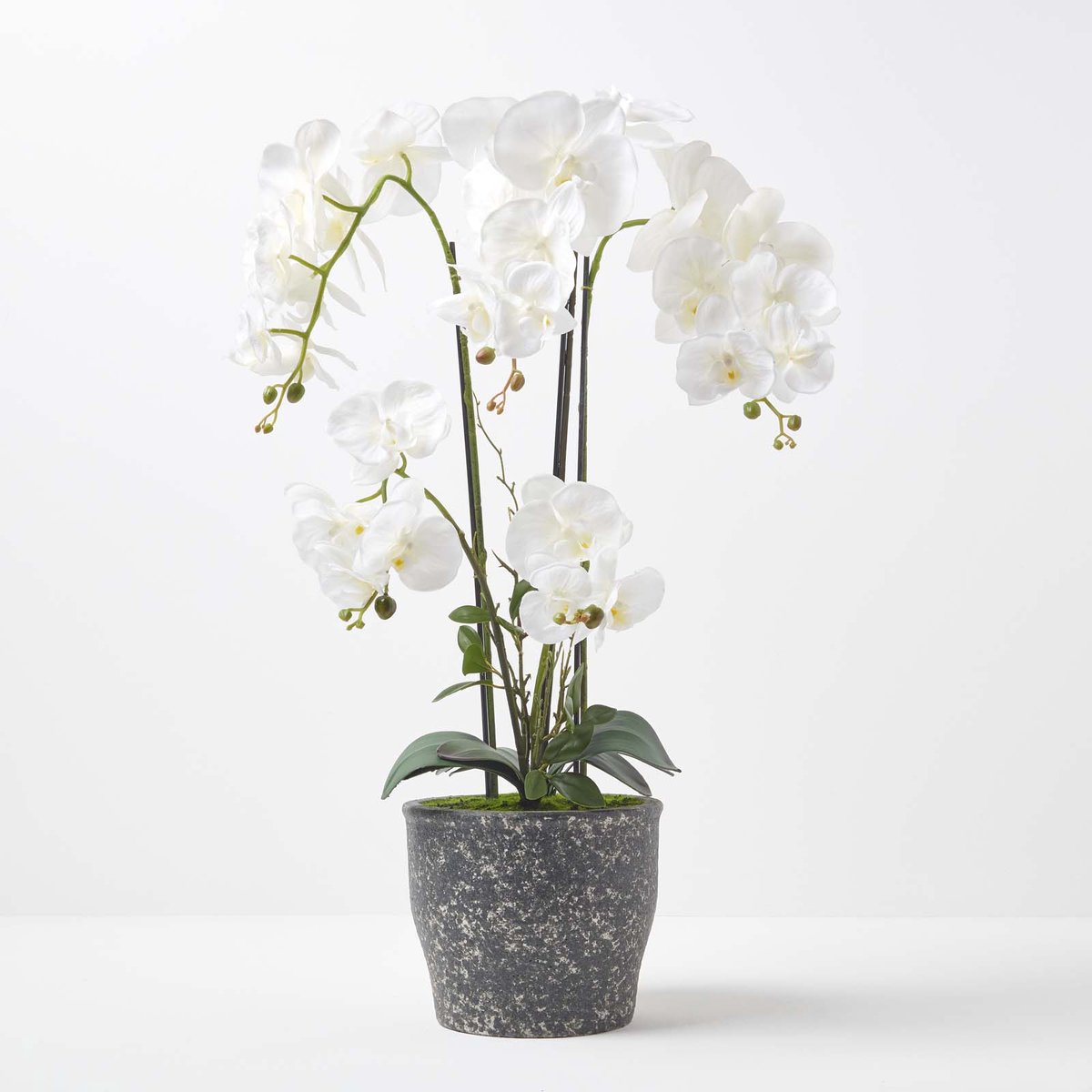 Homescapes Kunstmatige witte Phalaenopsis Orchidee in donkergrijze keramische pot 82 cm