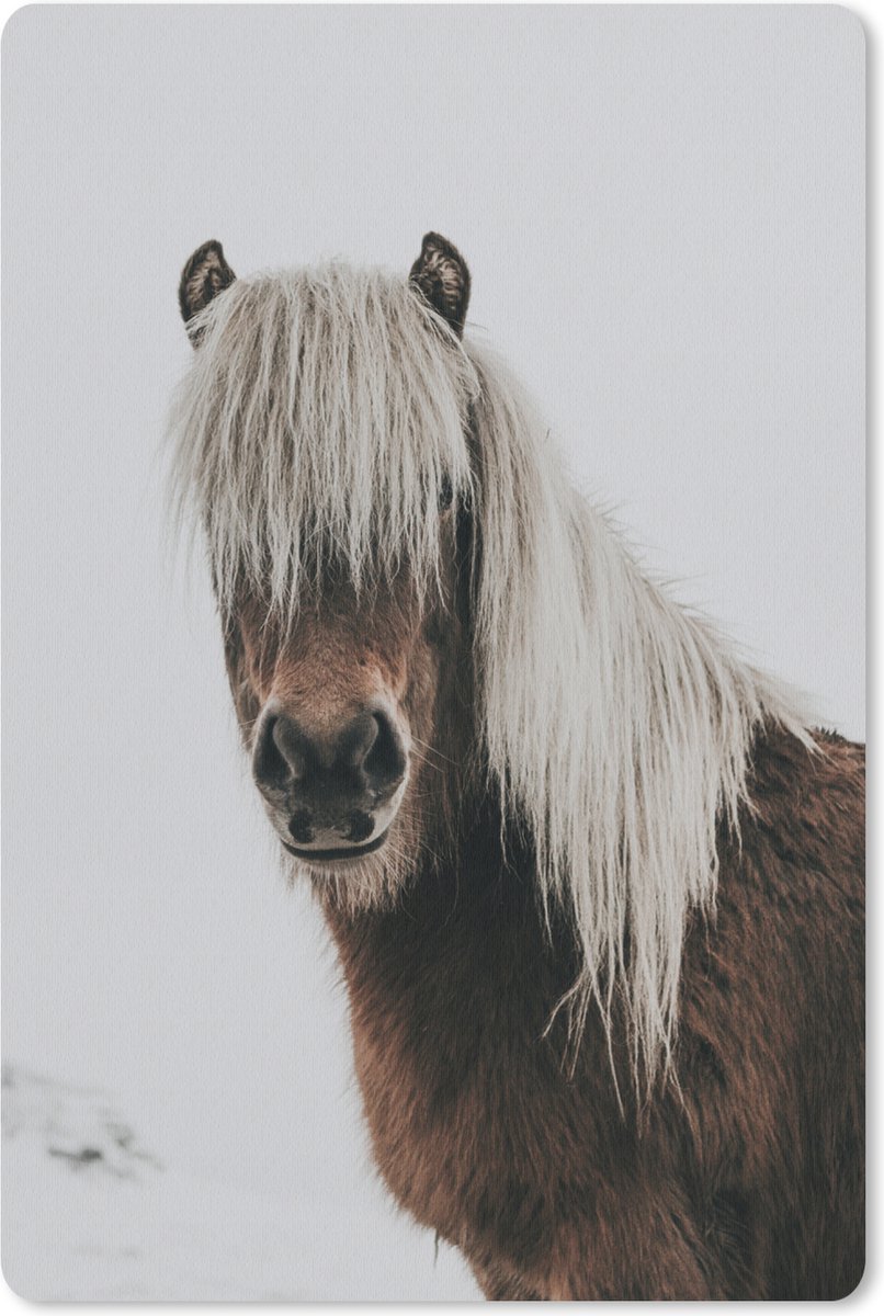 Muismat 18x27 cm - Mousepad Paarden - Dieren - Portret - Bruin - Wit - Muismatten