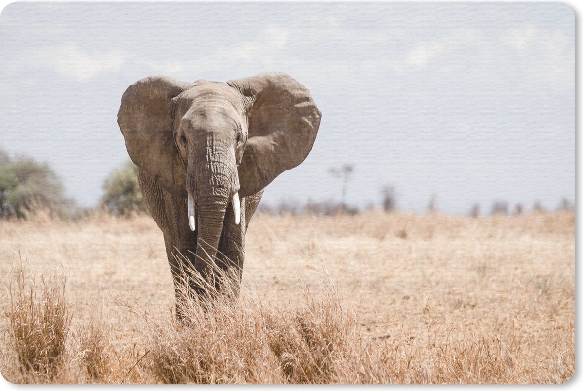 Muismat 27x18 cm - Mousepad Olifant - Natuur - Dieren - Portret - Muismatten