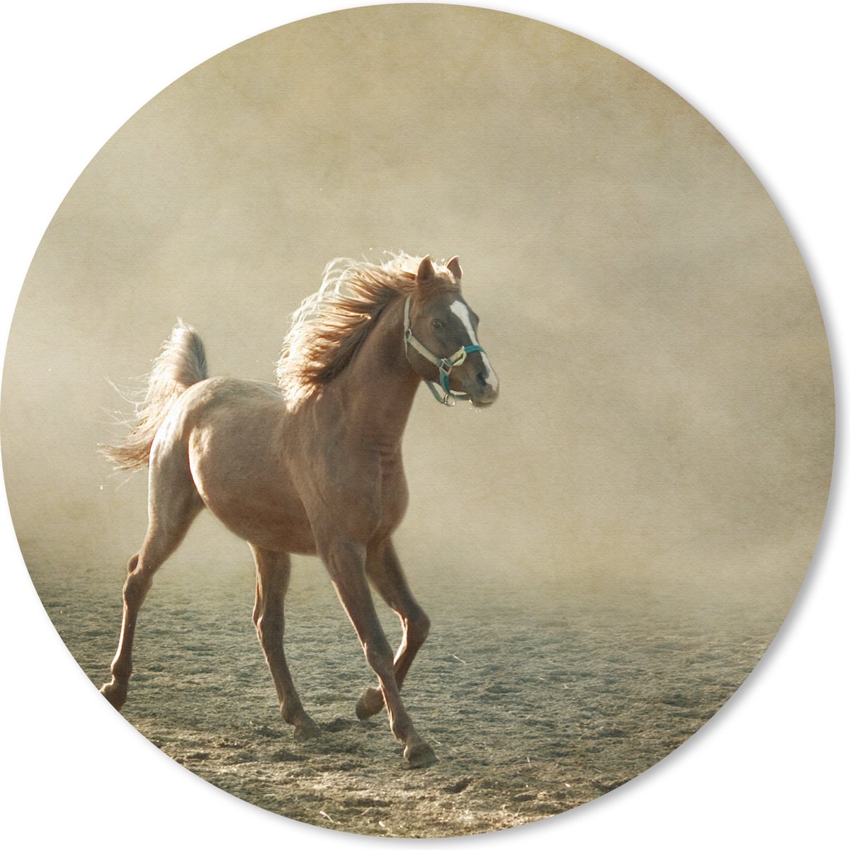 Muismat rond 40x40 cm - Mousepad Paard - Zand - Mist - Ronde muismatten