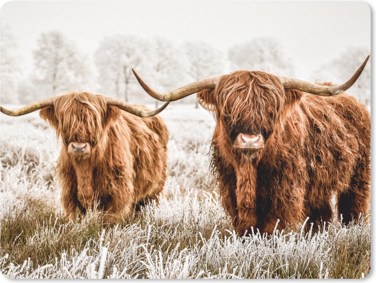 Muismat 23x19 cm - Mousepad Schotse hooglander - Koe - Natuur - Winter - Muismatten