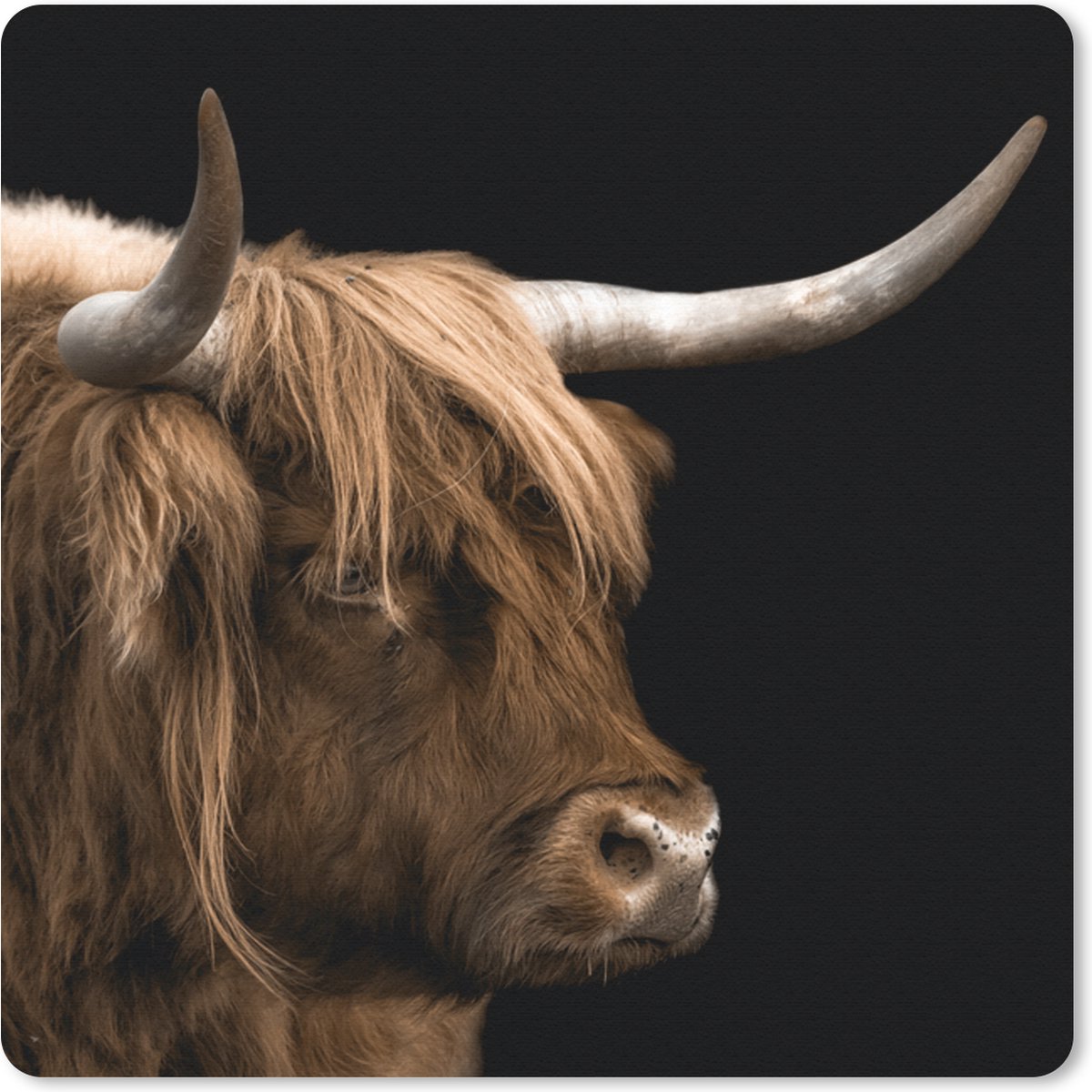 Muismat 20x20 cm - Mousepad Schotse hooglander - Vacht - Dier - Muismatten