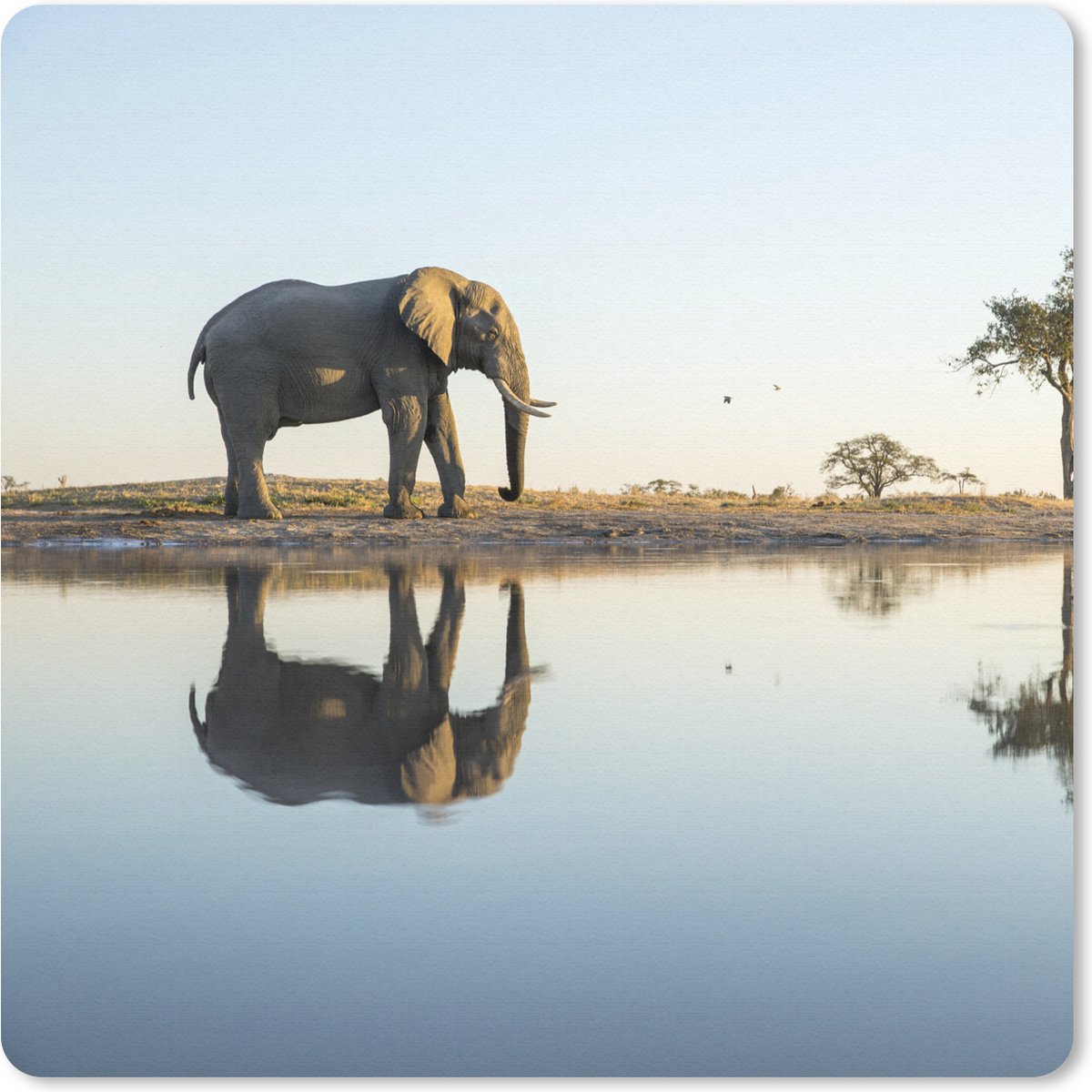 Muismat 30x30 cm - Mousepad Olifant - Water - Bomen - Dieren - Natuur - Muismatten
