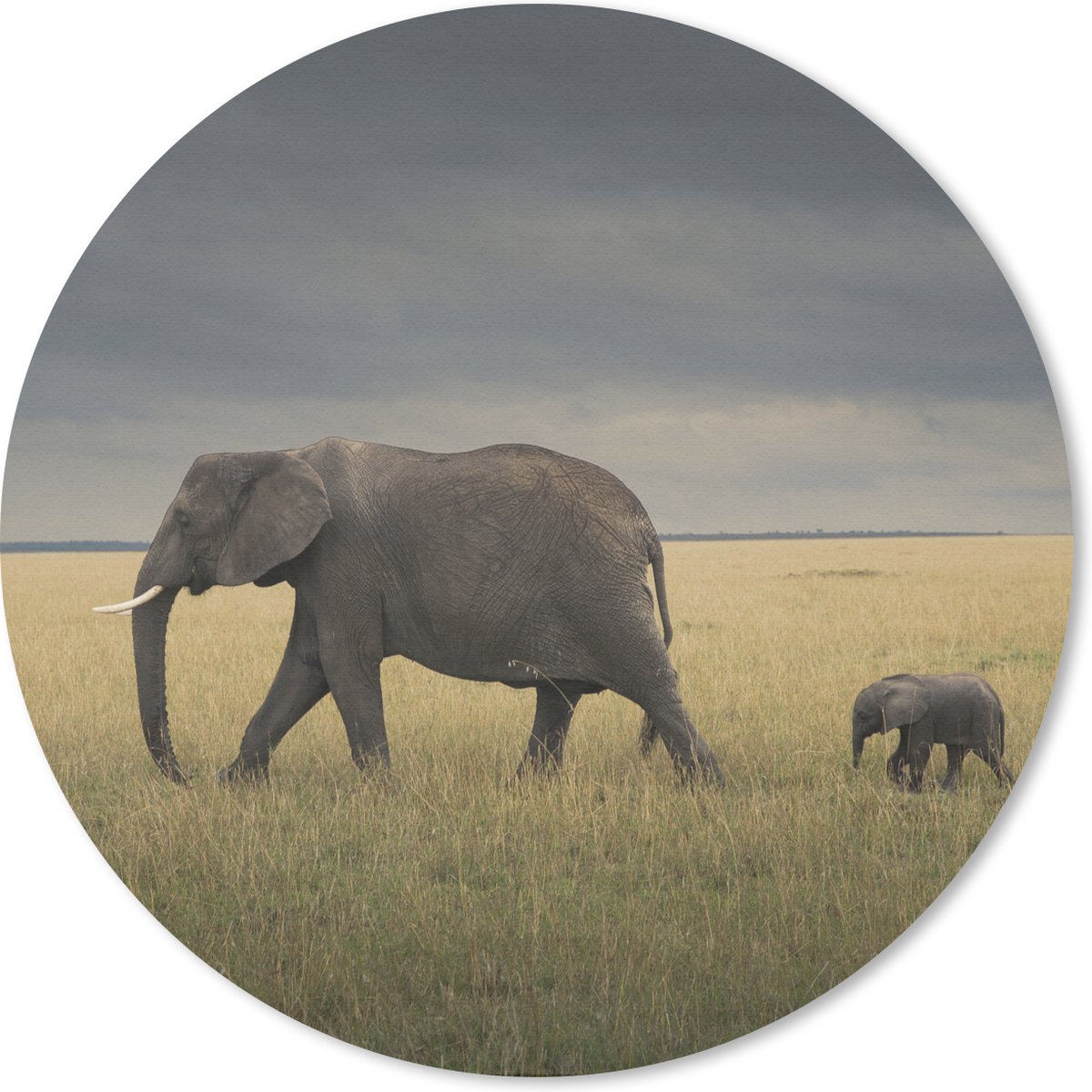 Muismat rond 30x30 cm - Mousepad Olifant - Savanne - Dieren - Natuur - Ronde muismatten