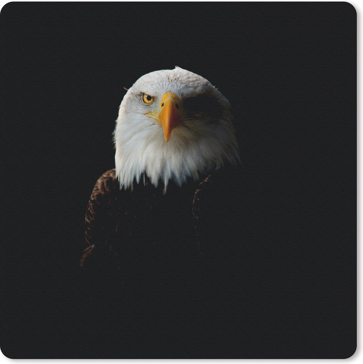 Muismat 20x20 cm - Mousepad Adelaar - Vogel - Zwart - Muismatten