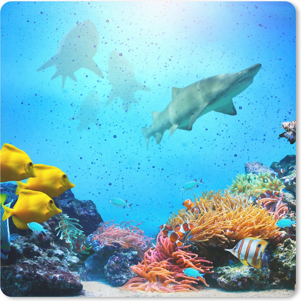 Muismat 20x20 cm - Mousepad Zee - Vissen - Kleuren - Muismatten