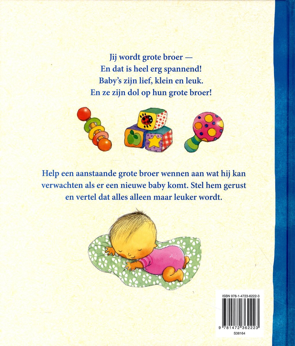 Ik ben je grote broer - back cover