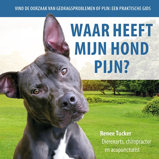 Waar heeft mijn hond pijn? - cover