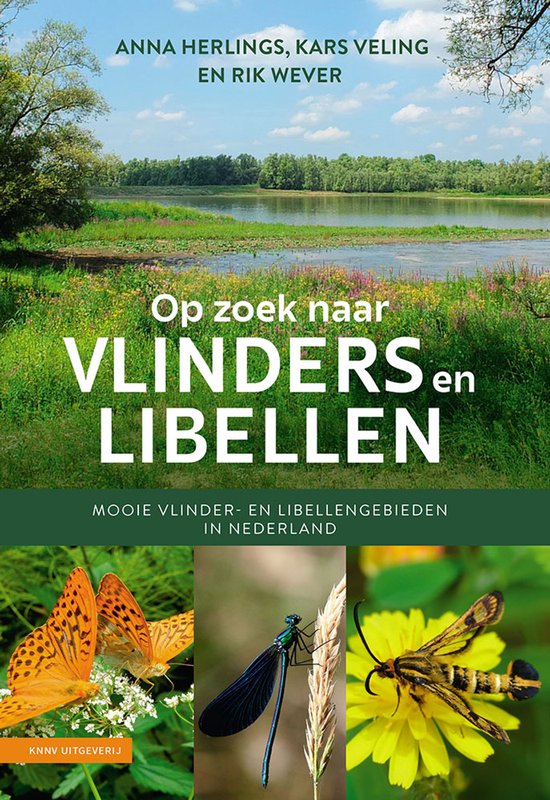 Op zoek naar vlinders en libellen