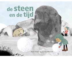 Omslag van De steen en de tijd