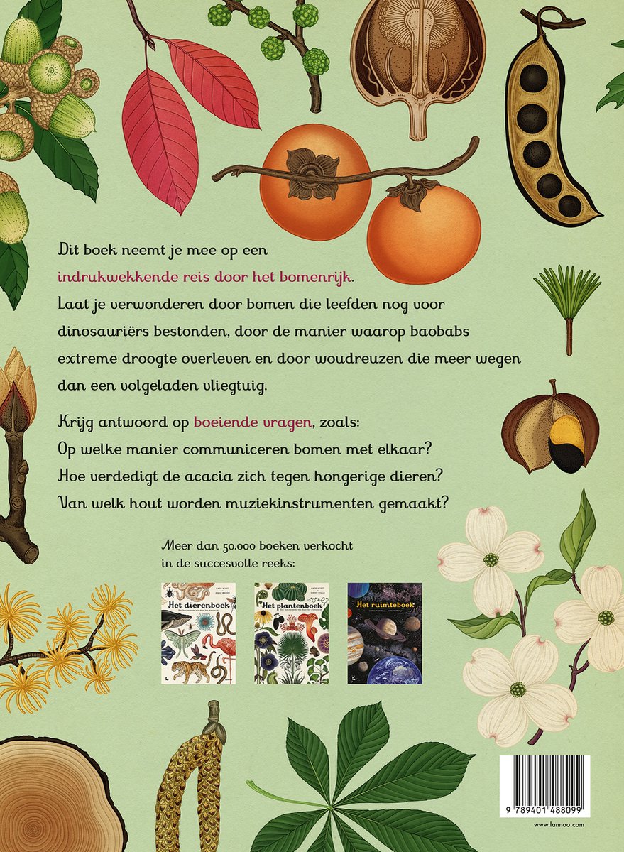 Bomen - back cover