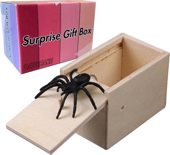 Dayshake Nep Spin in doos - Fake Spider Prank - Laat je vrienden schrikken - Fop je Familie of Collega's - Grappige cadeaus - Schoencadeautjes sinterklaas