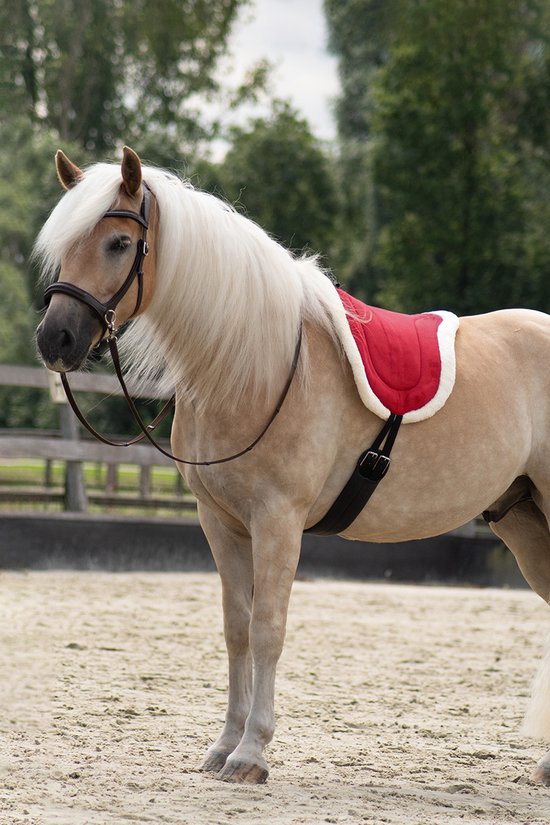 Free Horse Barebackpad Free Horse Fhraven Donkerrood