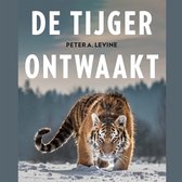 De tijger ontwaakt