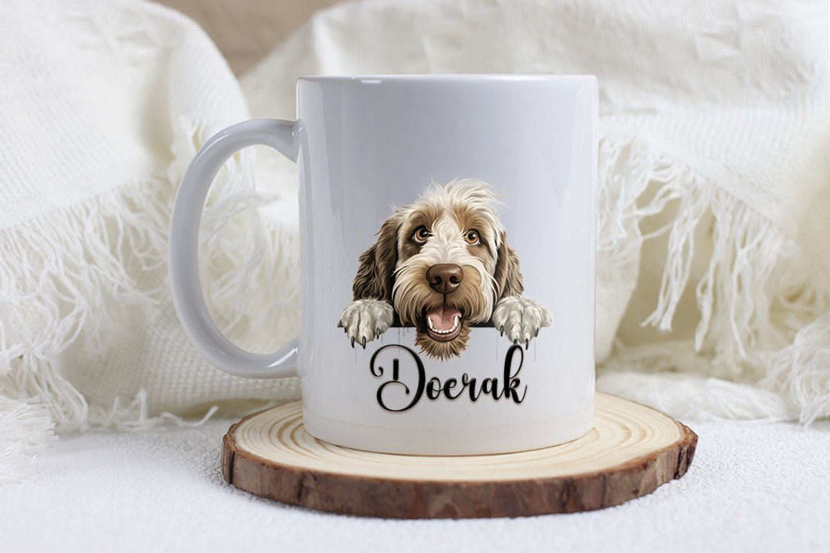 Spinone italiano mok met naam