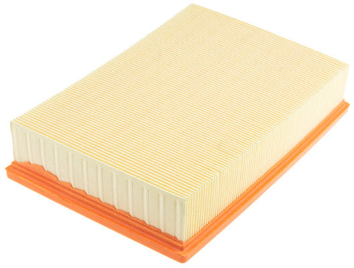 Luchtfilter OEM 1232496