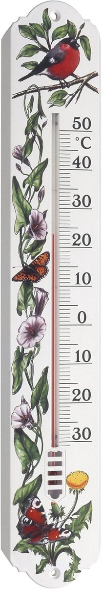 Analoge Binnen- en Buitenthermometer met Weerbestendig Design - Ideaal voor Huis en Tuin