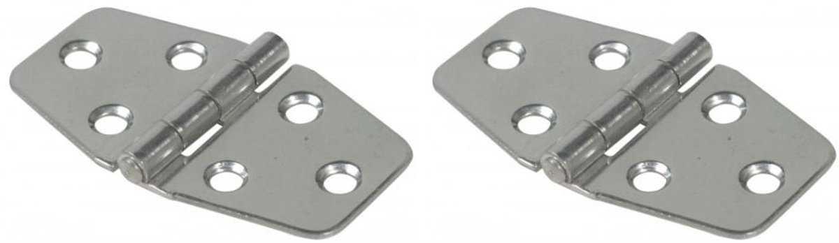 Scharnier 40 x 70 mm roestvrij staal - 1 paar - 2 stuks