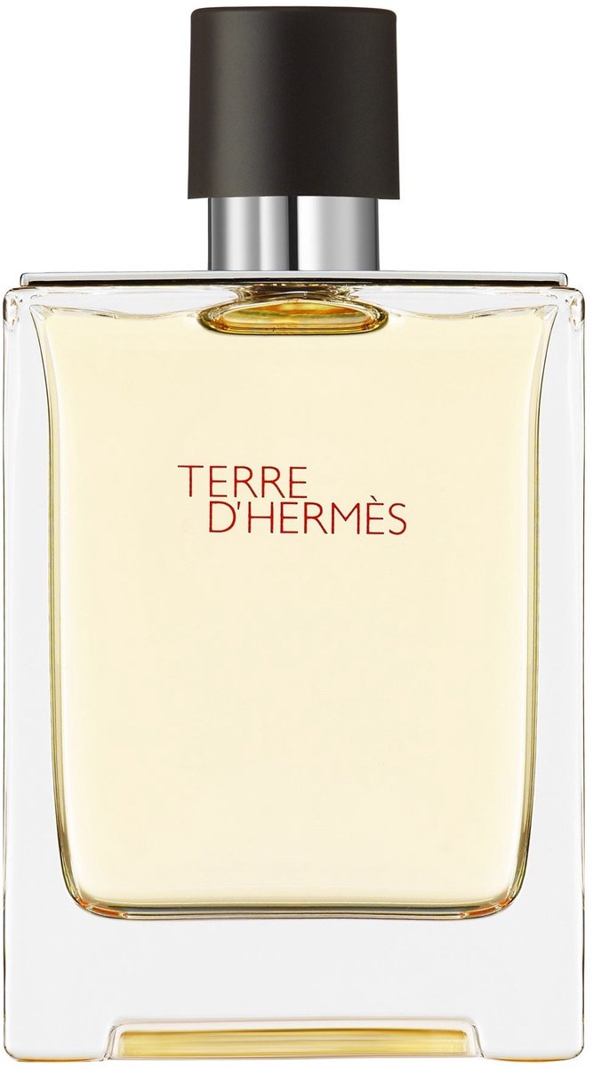 Goedkoopste Hermes Terre d'Hermes 100 ml - Eau de Toilette - Herenparfum