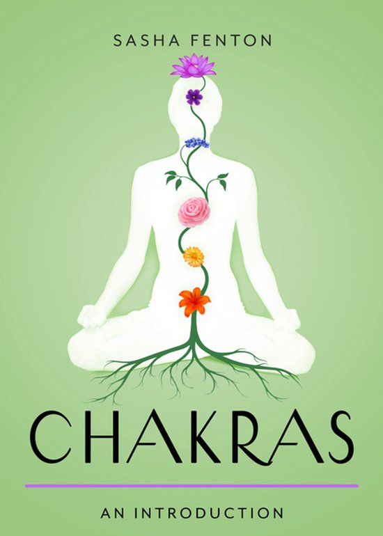 Plain & Simple Series for Mind, Body, & Spirit- Chakras - cover