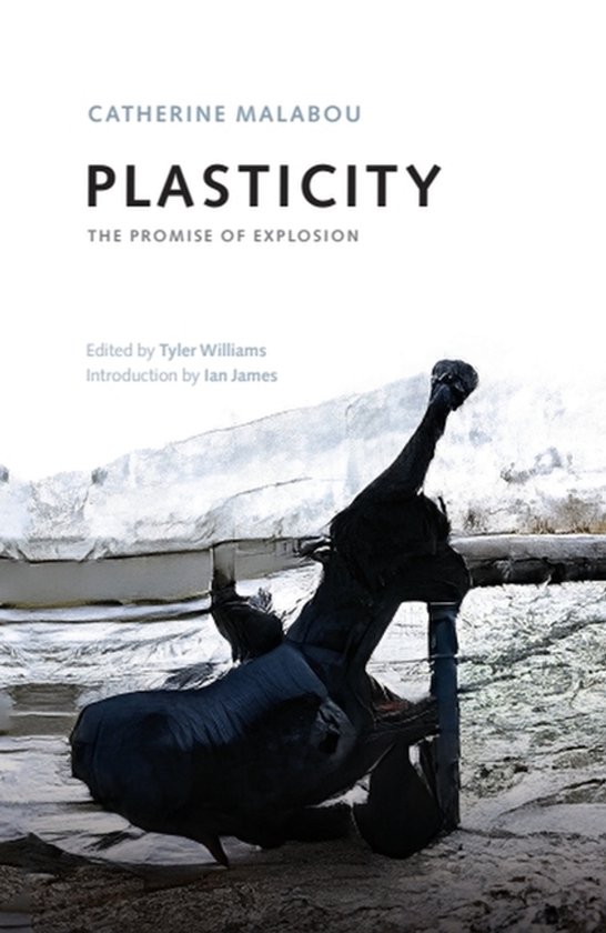 Plasticity - cover