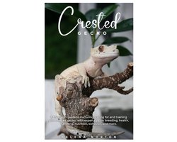 Crested Gecko