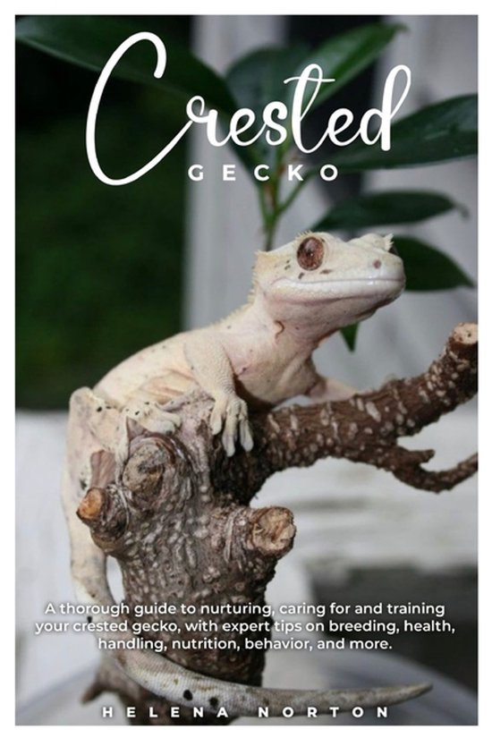 Crested Gecko - cover