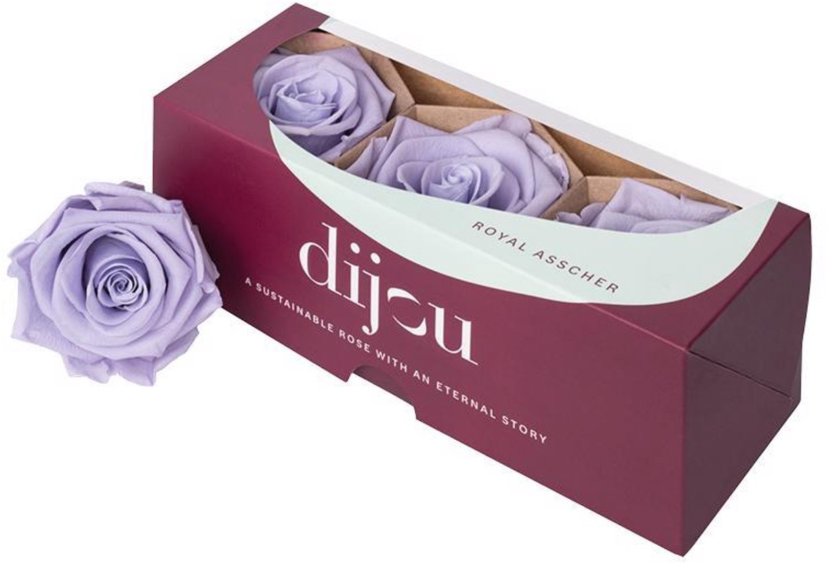 3x Dc pres.rozen floral lavender 2706c