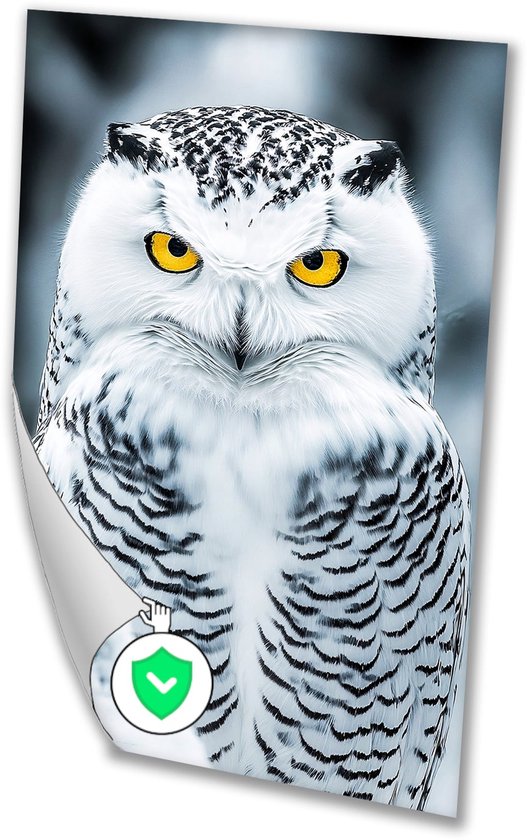 Gros plan chouette des neiges aux yeux jaunes - Décoration murale hibou - Affiche animalière - Hyperréalisme - Affiche Vintage - Affiches modernes - poster 30x40 cm
