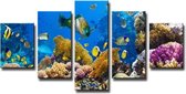 Onderwaterwereld - Canvas Schilderij Vijfluik 160 x 80 cm