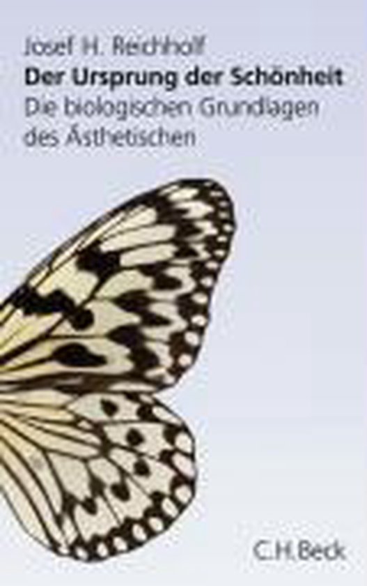 Der Ursprung der Schönheit - cover