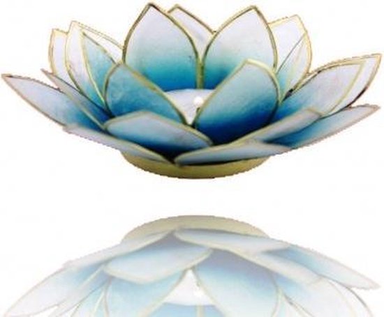 Lotus mood bleu clair / blanc bord or bicolore - 13,5 cm - S