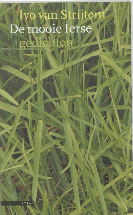 Cover van het boek 'De mooie Ierse'