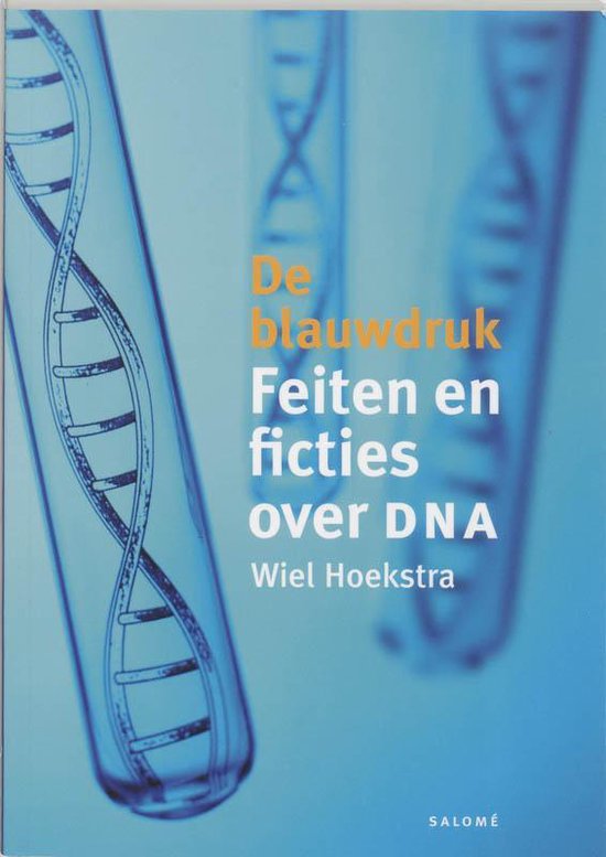Cover van het boek 'De blauwdruk' van W.P.M. Hoekstra