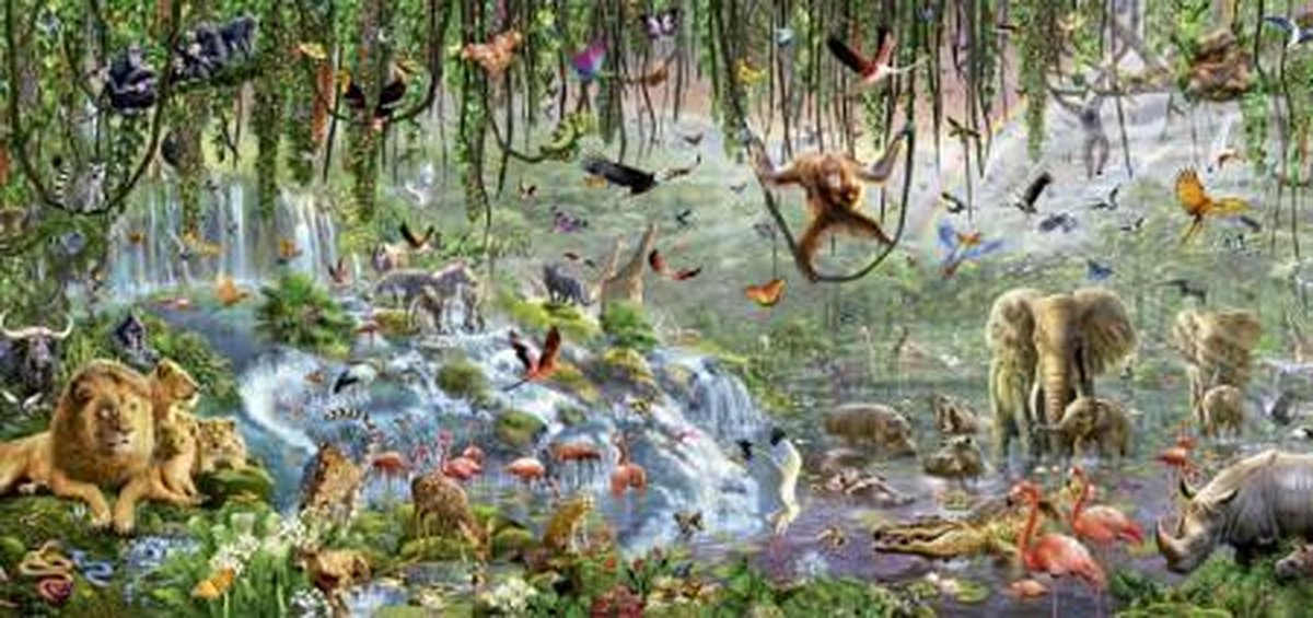 niets nabootsen tapijt Educa Wildlife - 3000 stukjes | bol.com