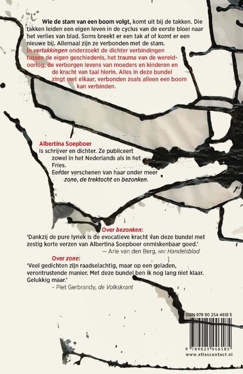 Vertakkingen - back cover
