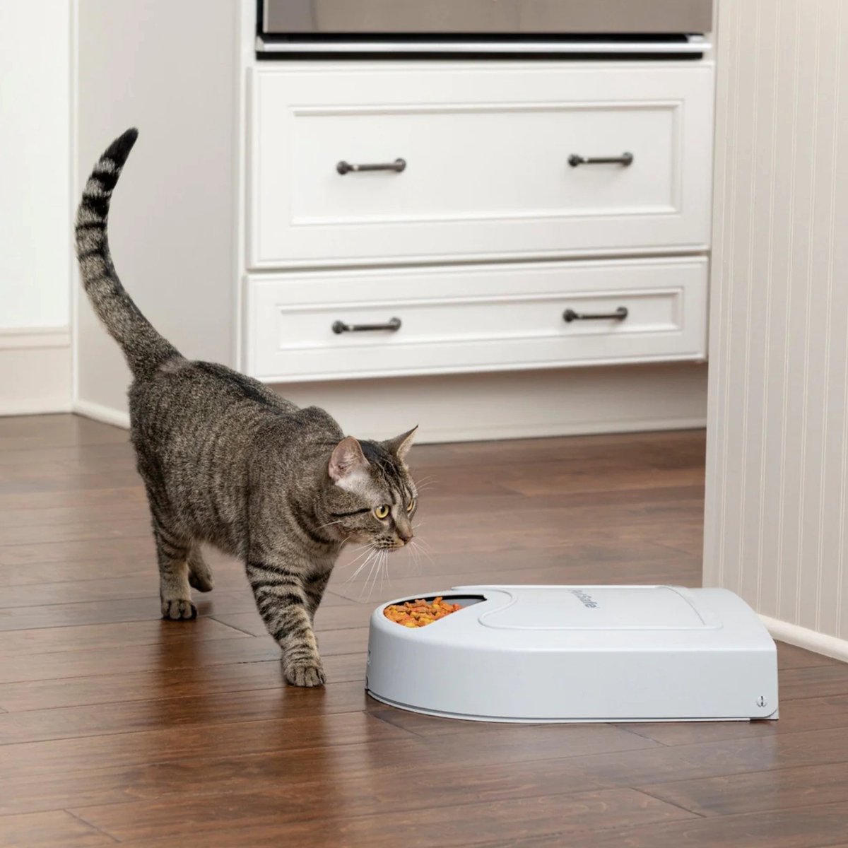 Petsafe Eatwell Automatische-voerbak voor vijf maaltijden - BPA vrij