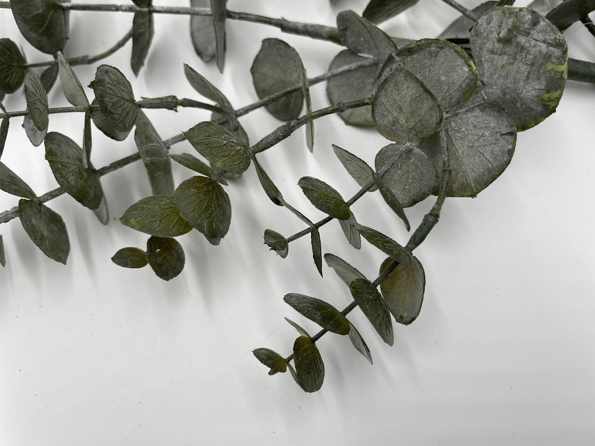 Kunstplant Tak Eucalyptus | Groen | 80 cm