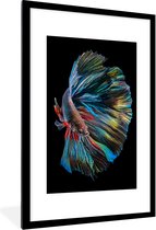 Fotolijst incl. Poster - The Betta Fish - 80x120 cm - Posterlijst