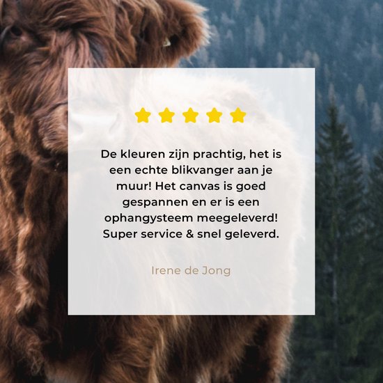 Canvas schilderij - Schotse hooglander - Berg - Landschap - Boom - Koe - Kamer decoratie - Canvas doek - Canvas schilderijen woonkamer - 30x20 cm