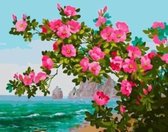 Diamond painting – bloemen bij zee – 50x40 cm – vierkante stenen