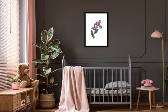 Bloem orchidée violette sur fond blanc 40x60 cm